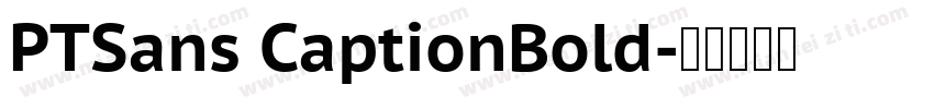 PTSans CaptionBold字体转换